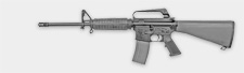 View Larger: Plinker Plus