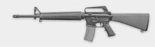 View Larger: Plinker Plus 20