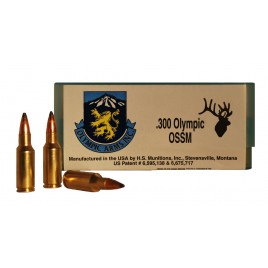 .300 OSSM AMMUNITION